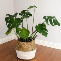 uploads/erp/collection/images/Home Garden/CongDing/XU0611914/img_b/XU0611914_img_b_4